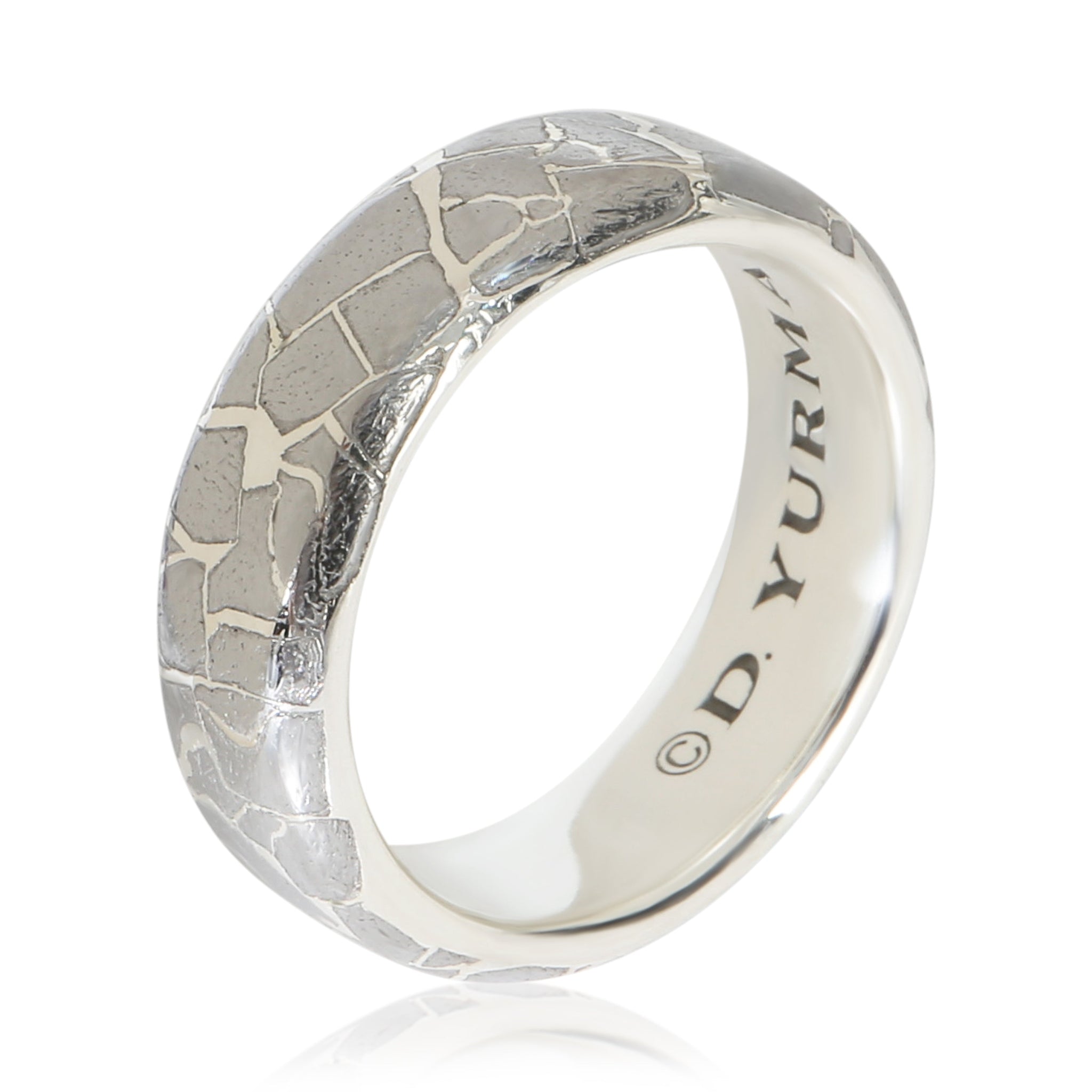Sterling Silver  Streamline Meteorite Band